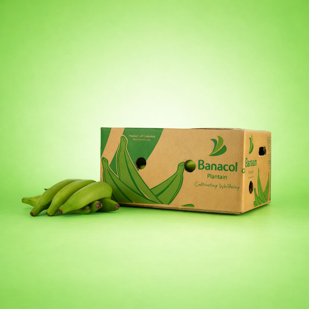Box of Unripe (Green) Plantain - Main - <p>This <strong>Box of Unripe (Green) Plantain</strong> contains firm, starchy plantains harvested b