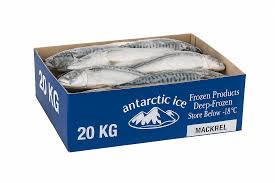 Box of Frozen Mackerel Fish - Titus - Main - <h1><strong>Box of Frozen Mackerel Fish – Premium Grade, Bulk Value on SplitBuy</strong></h1><p><br>
