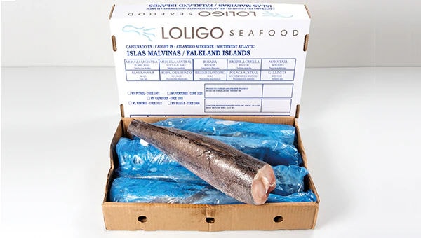 Box of Frozen Hake Fish - Main - <h1><strong>Box of Frozen Hake Fish – Premium Frozen Seafood at Wholesale Prices</strong></h1><p><br